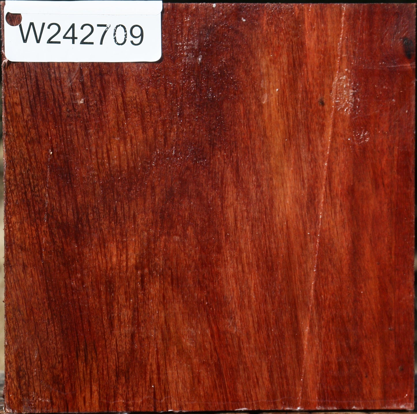 Figured Beefwood Bowl Blank