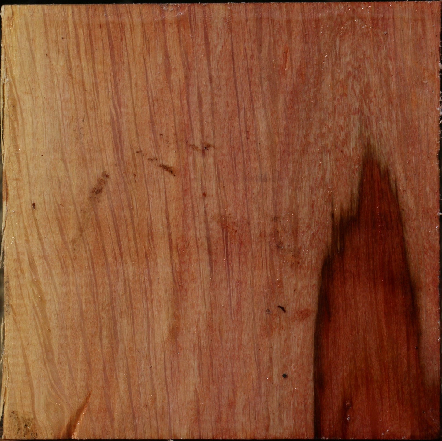 Figured Beefwood Bowl Blank