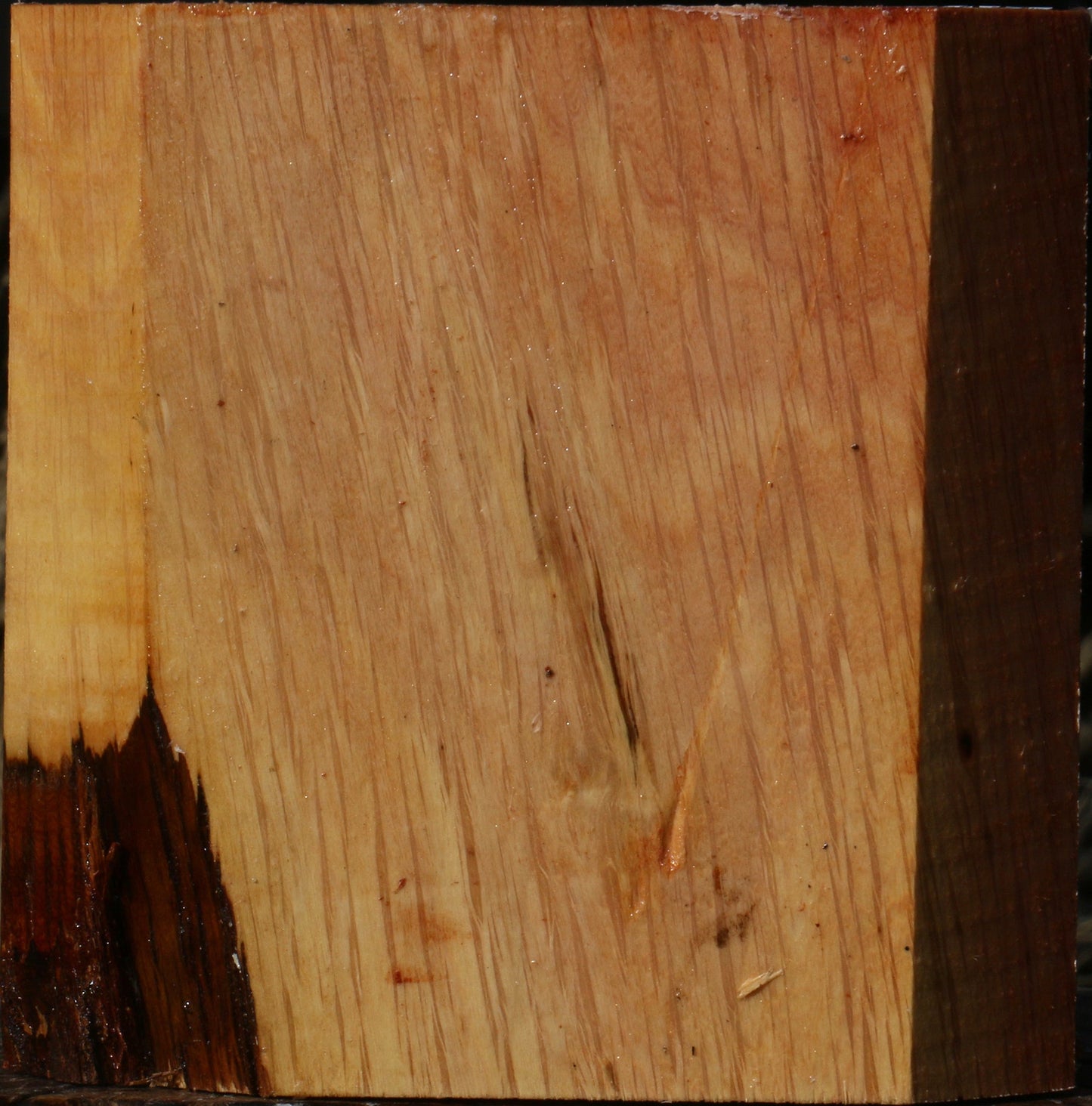 Figured Beefwood Bowl Blank