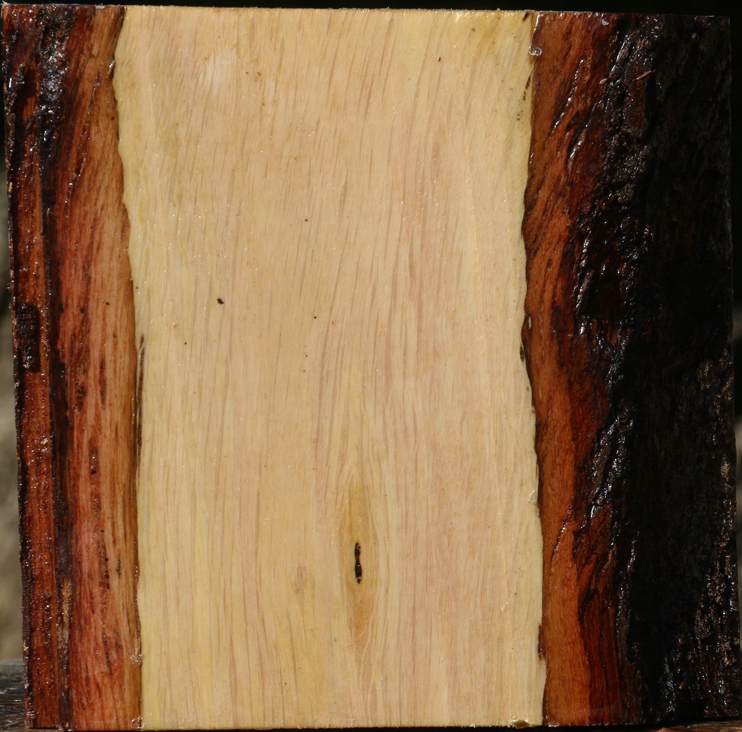 Figured Beefwood Bowl Blank