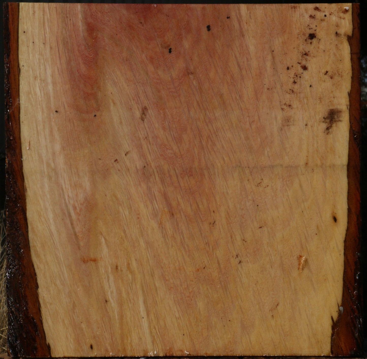 Figured Beefwood Bowl Blank