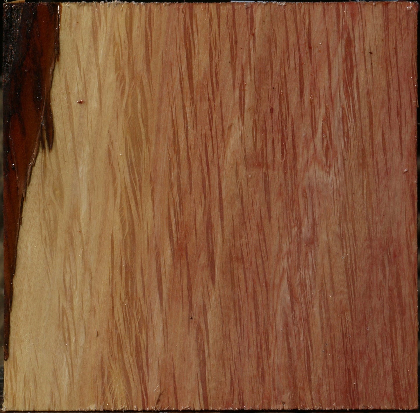 Figured Beefwood Bowl Blank