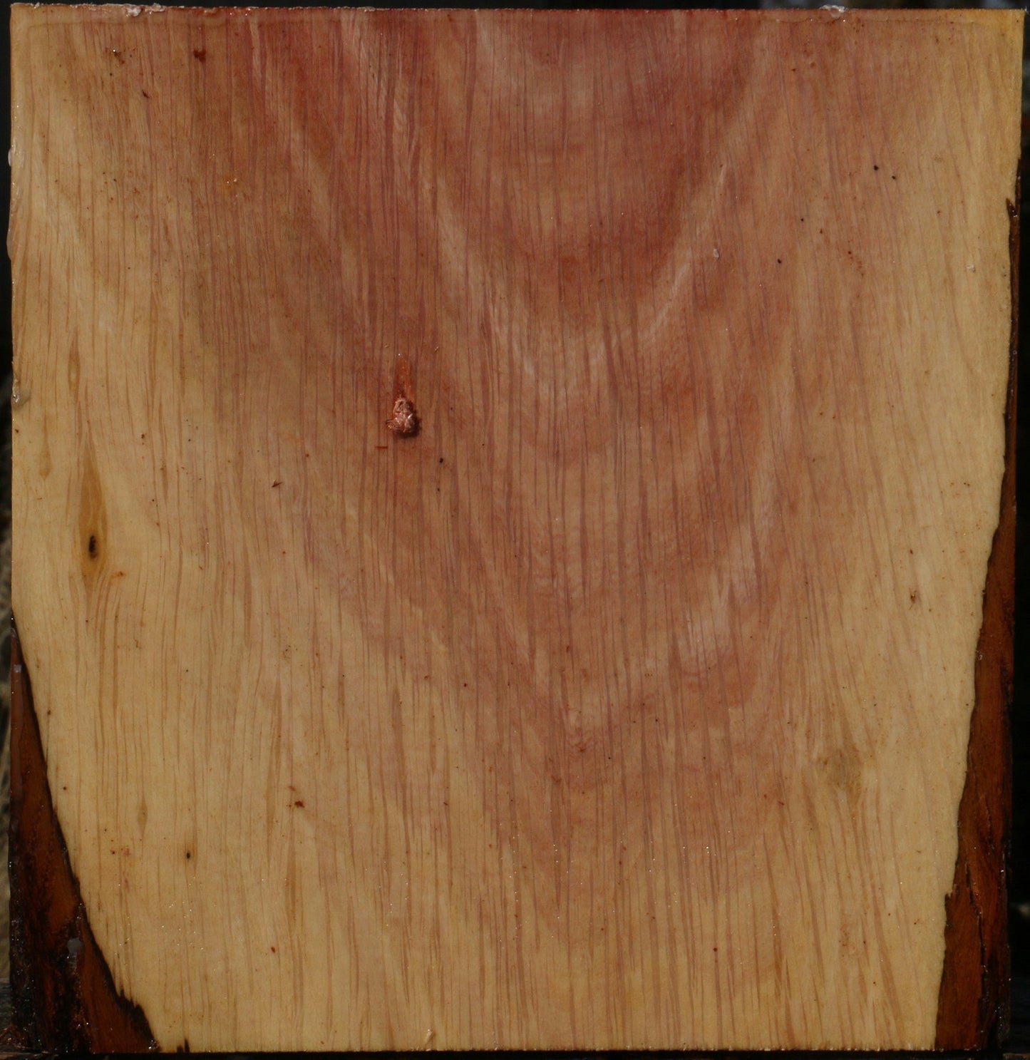 Figured Beefwood Bowl Blank