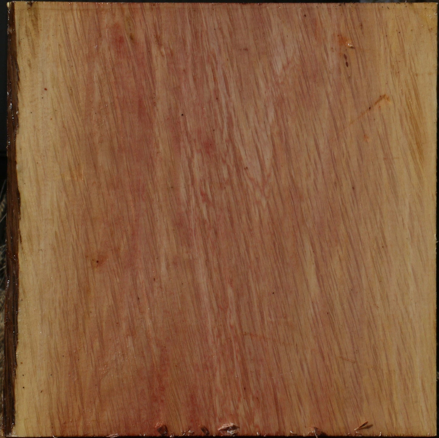 Figured Beefwood Bowl Blank