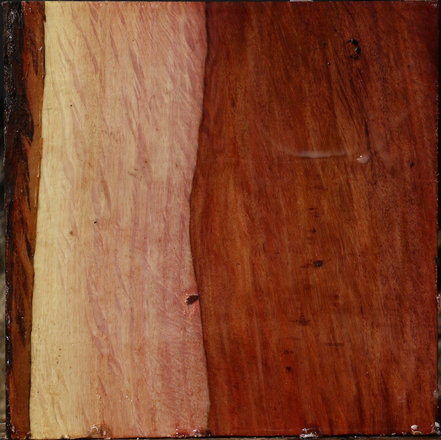 Extra Fancy Beefwood Bowl Blank