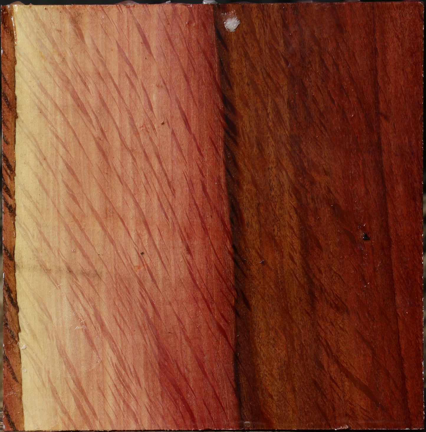 Extra Fancy Beefwood Bowl Blank