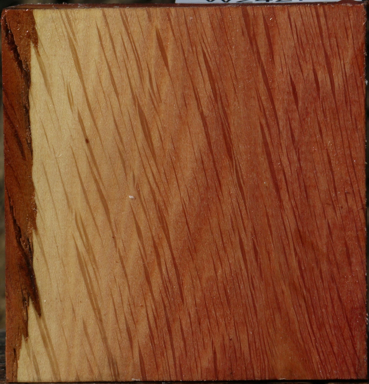 Extra Fancy Beefwood Bowl Blank