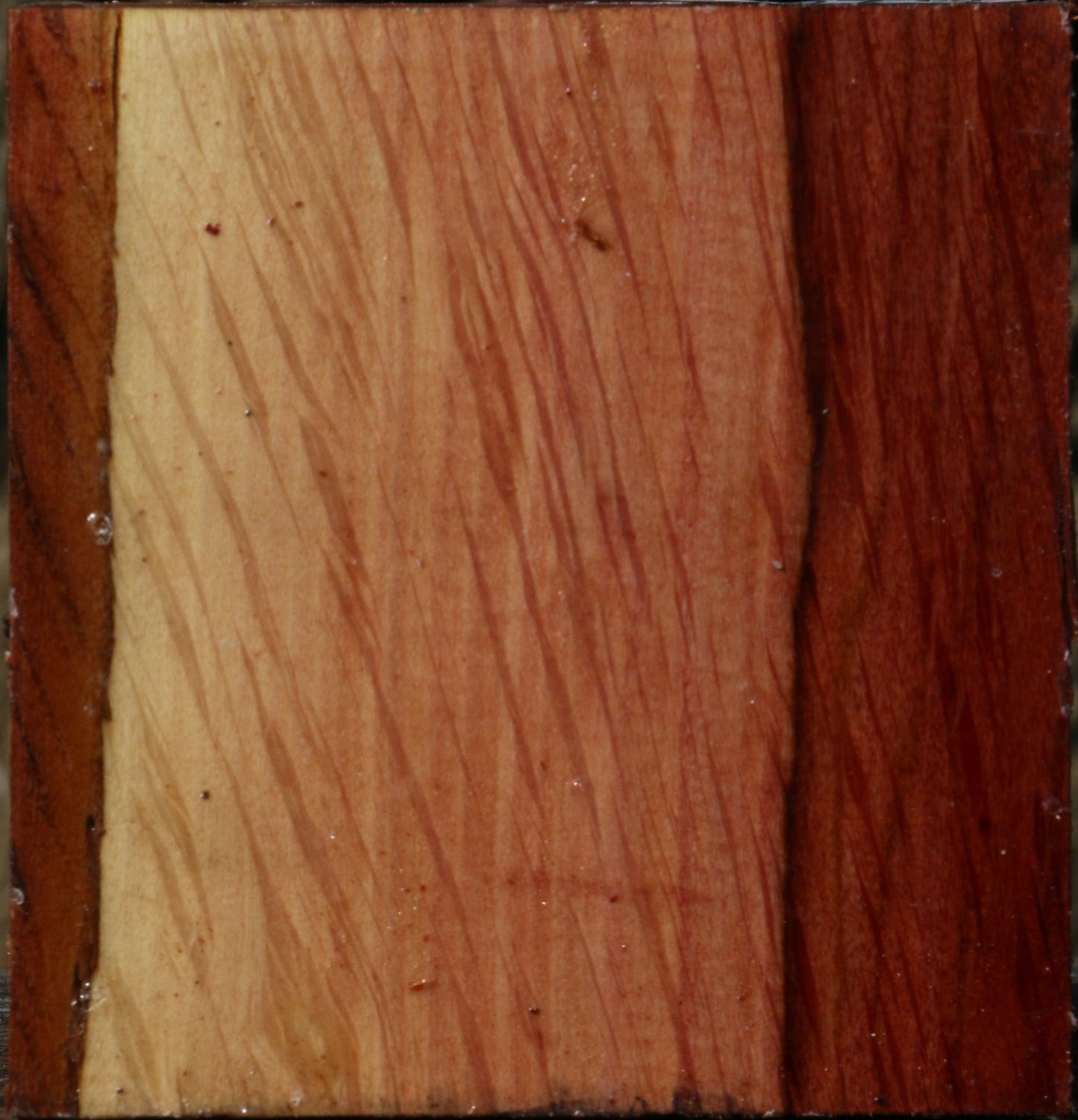 Extra Fancy Beefwood Bowl Blank