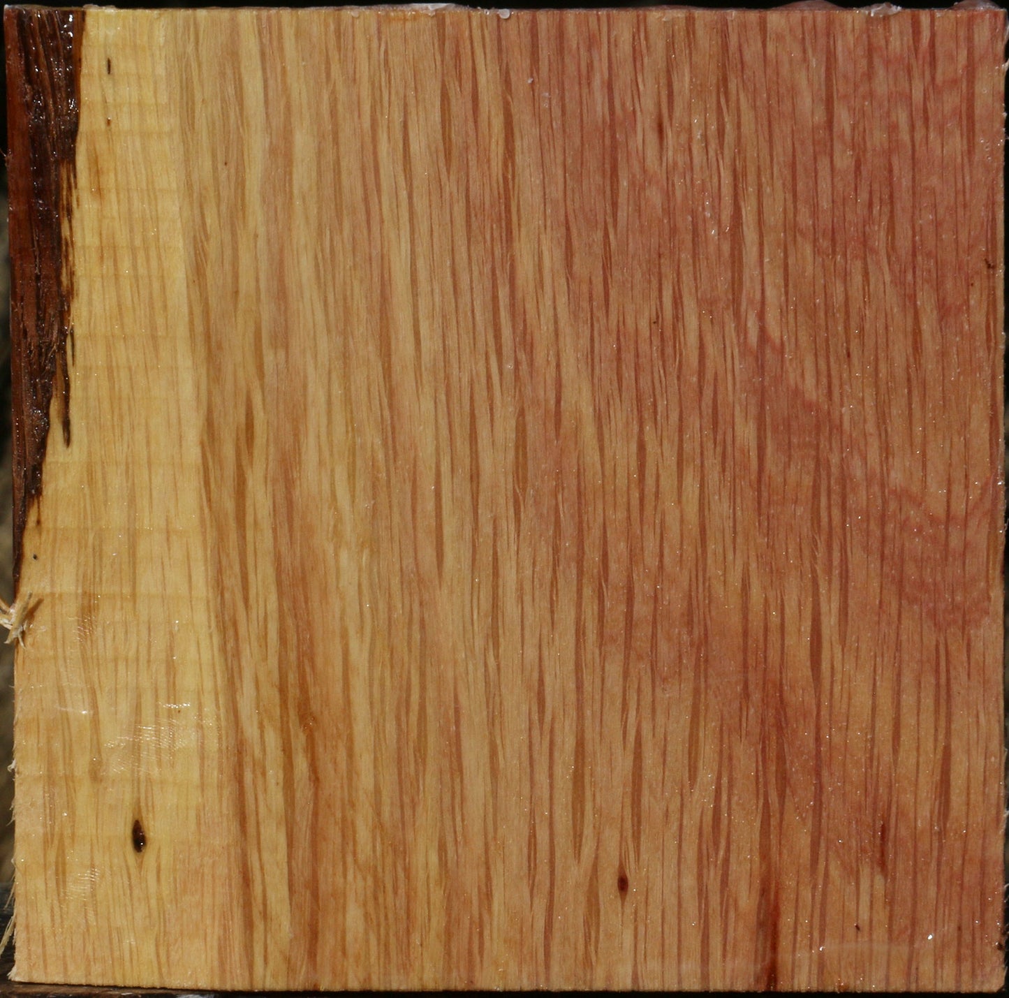 Figured Beefwood Bowl Blank