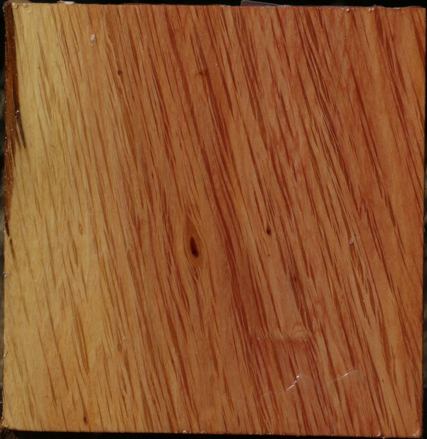 Extra Fancy Beefwood Bowl Blank