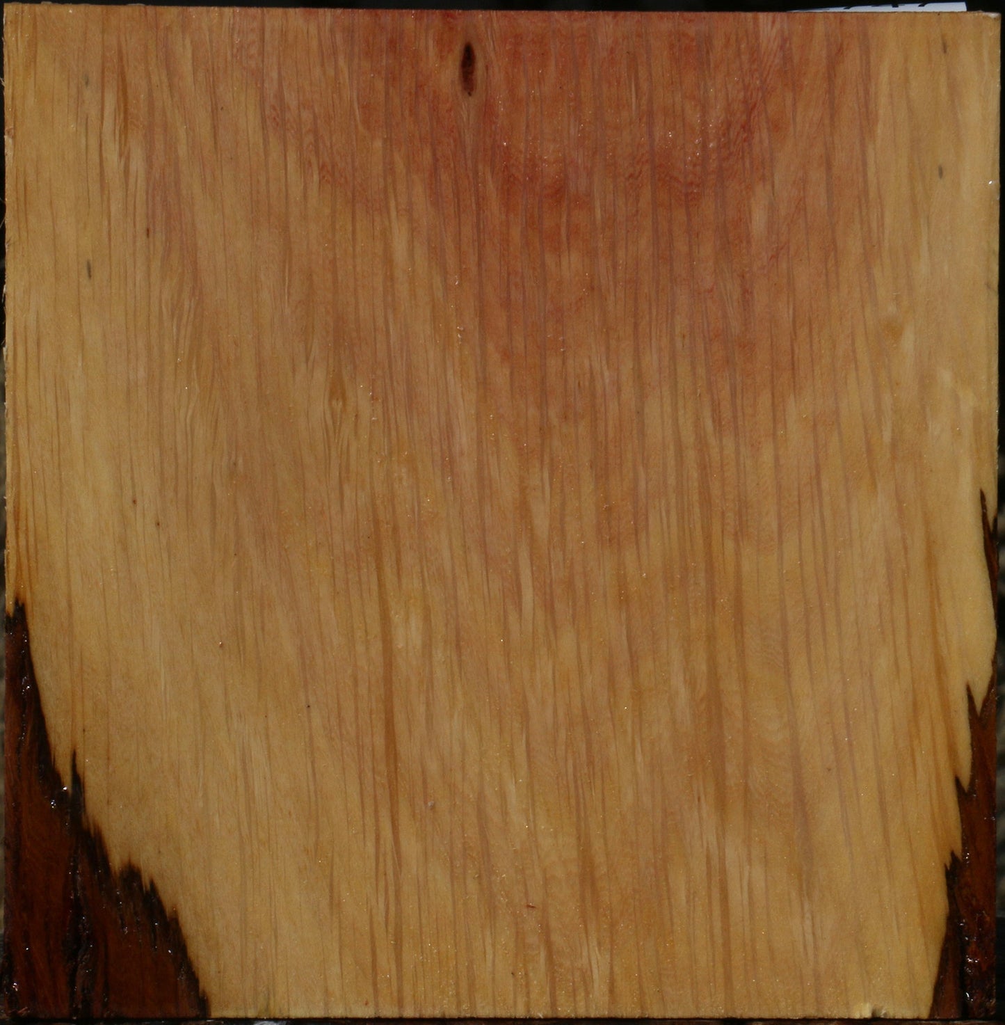 Figured Beefwood Bowl Blank