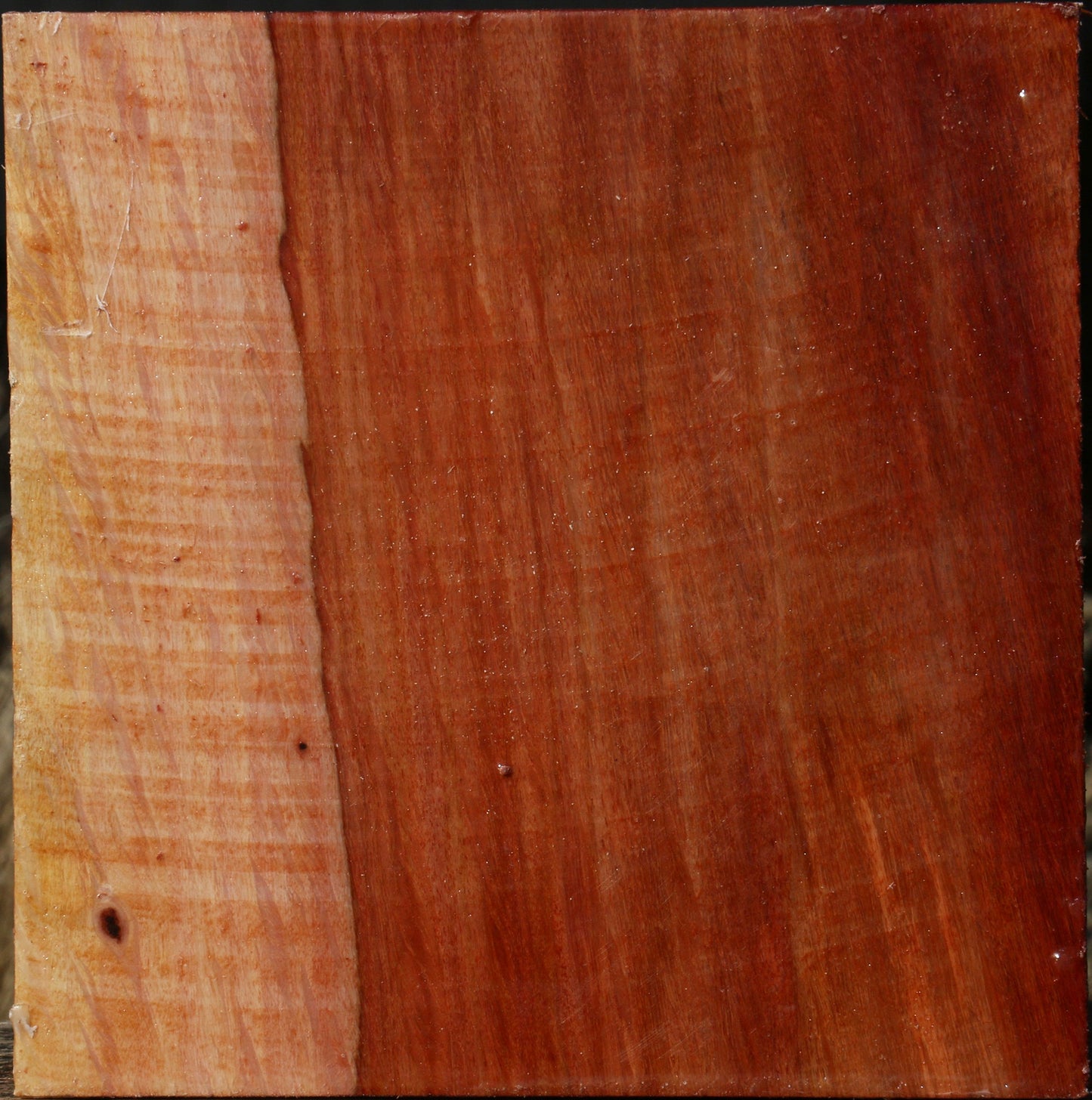 Extra Fancy Beefwood Bowl Blank