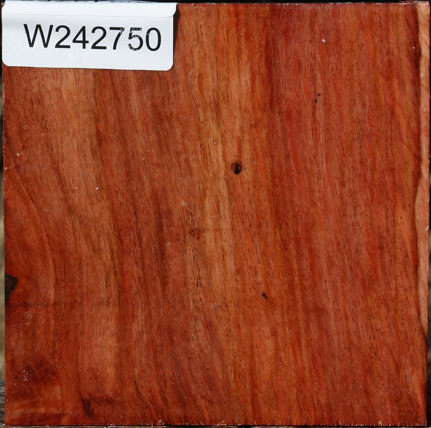 Figured Beefwood Bowl Blank