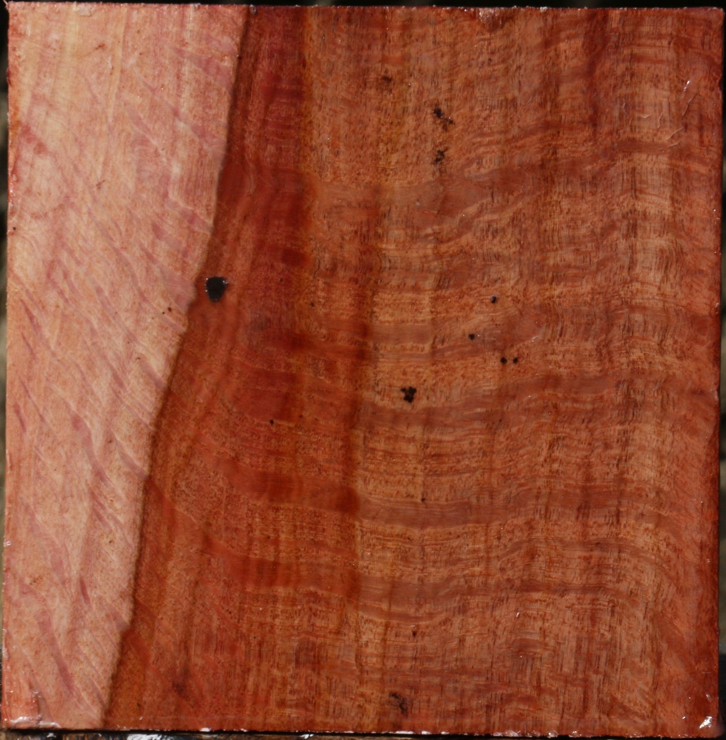 Figured Beefwood Bowl Blank