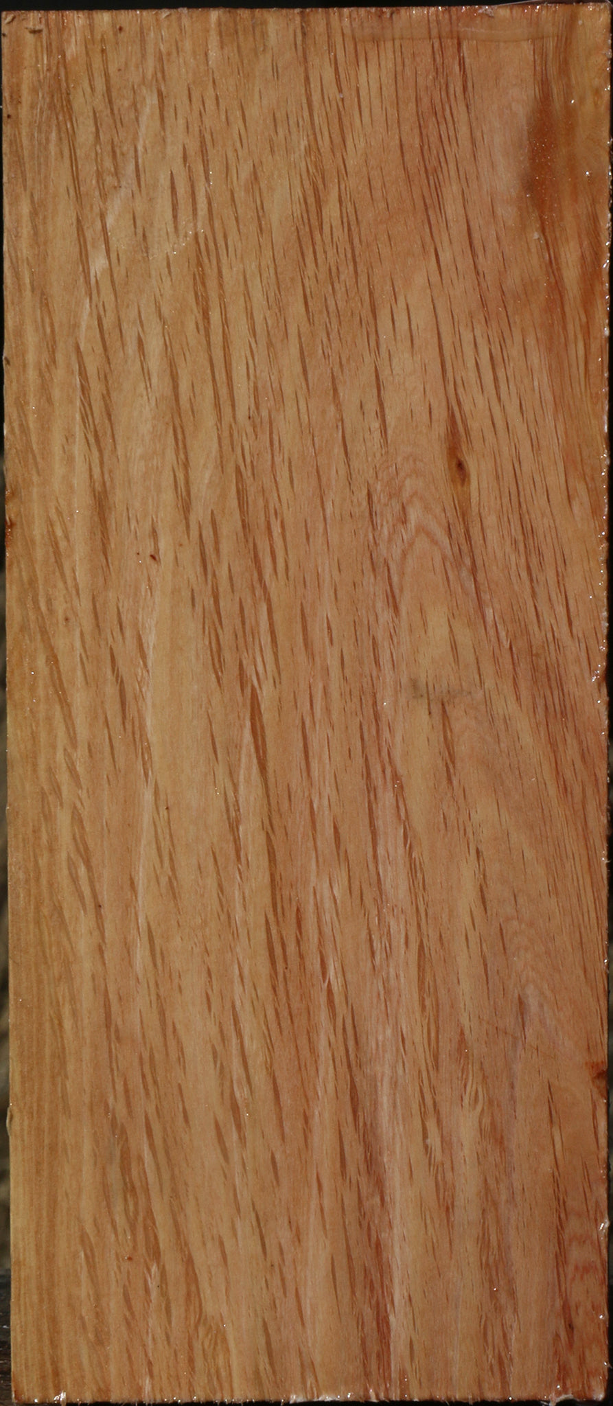 Figured Beefwood Vessel Blank