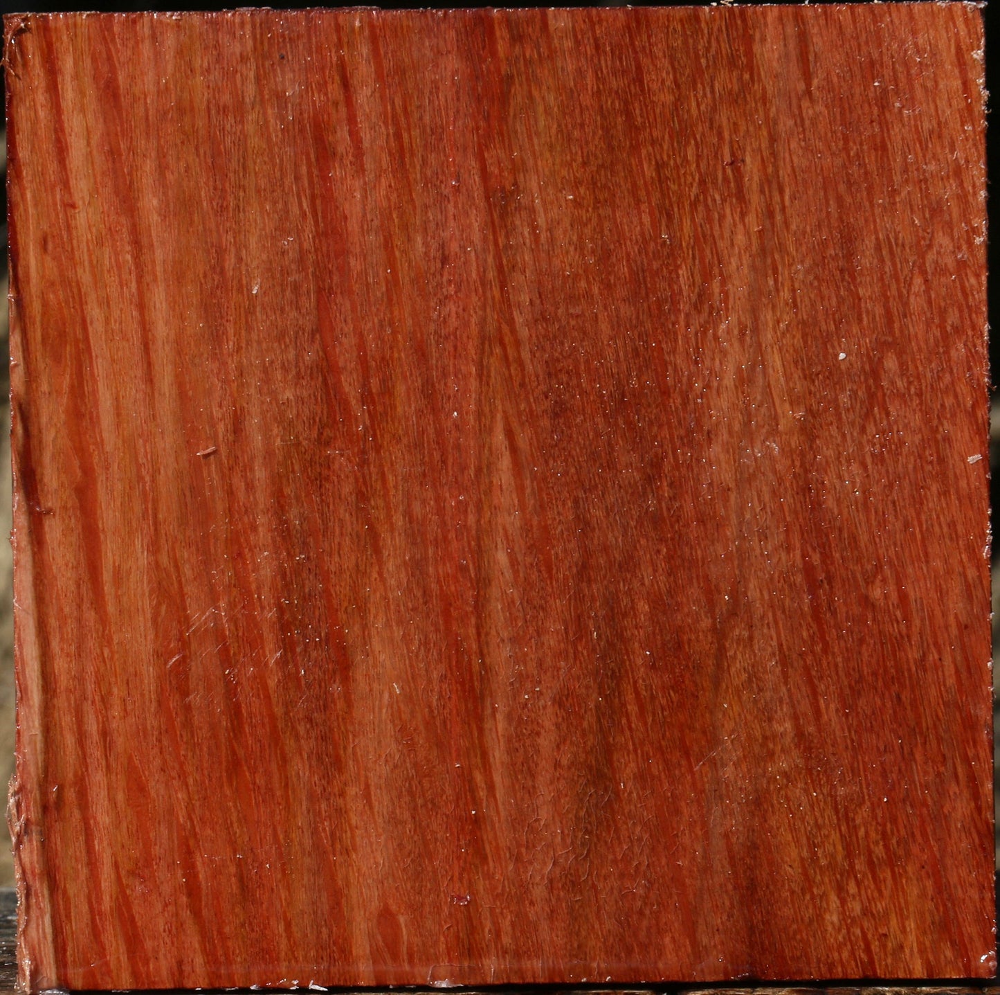 Figured Beefwood Bowl Blank