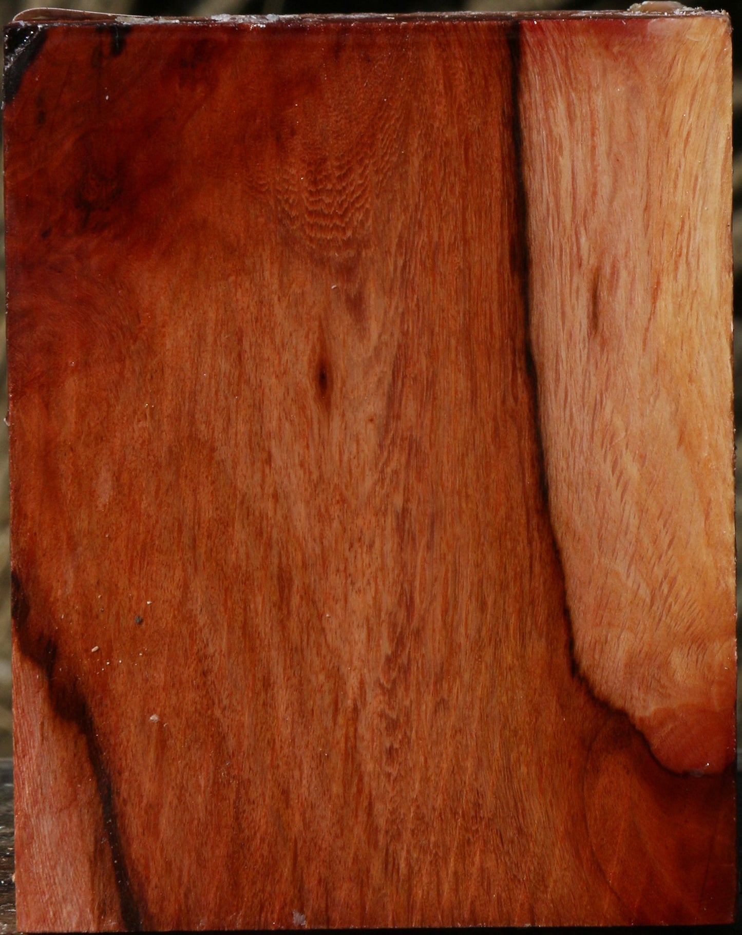 Extra Fancy Beefwood Bowl Blank