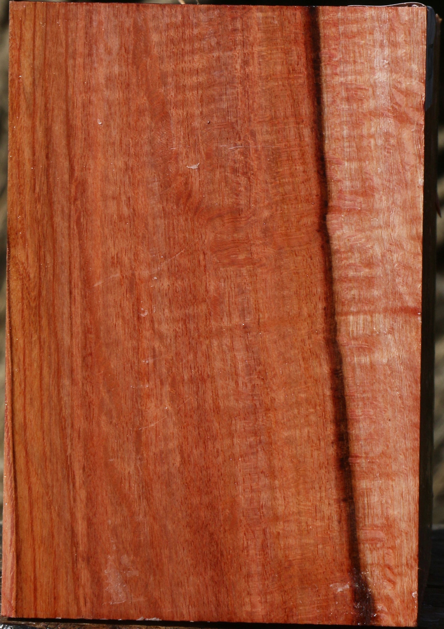 Figured Beefwood Bowl Blank