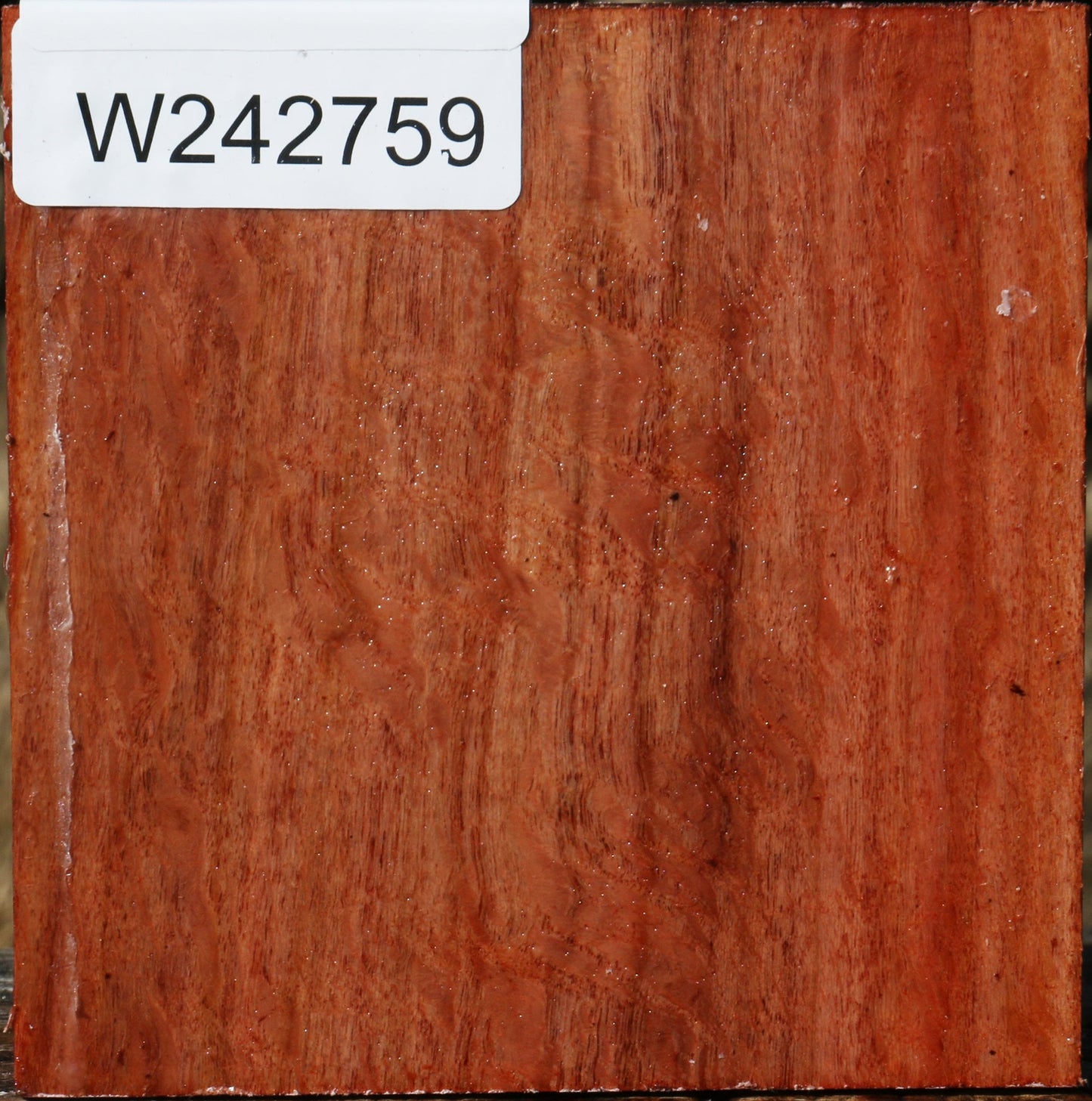 Figured Beefwood Bowl Blank