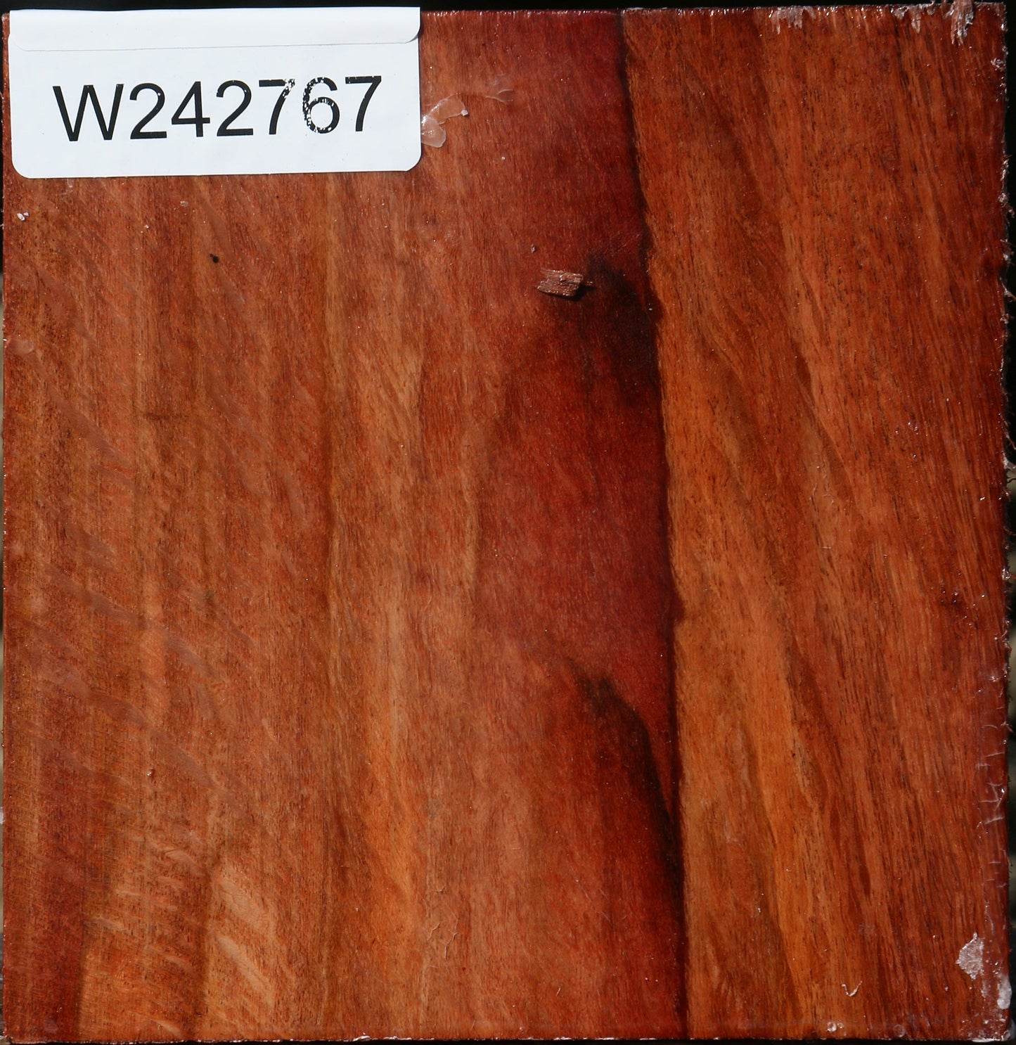 Extra Fancy Beefwood Bowl Blank