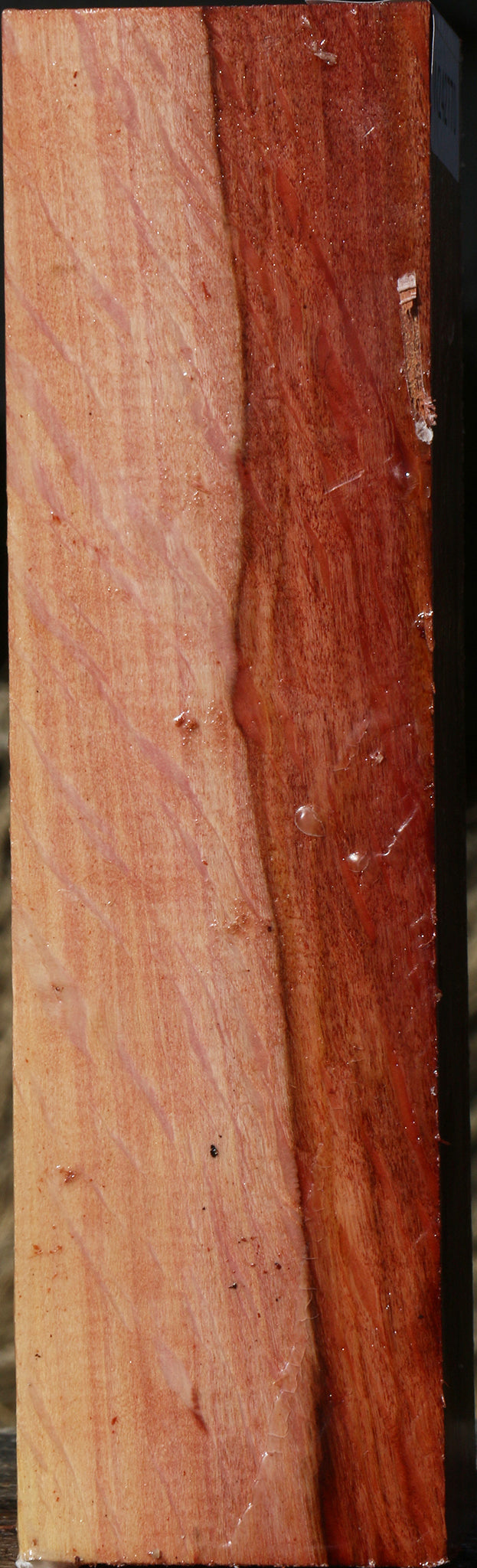 Extra Fancy Beefwood Peppermill