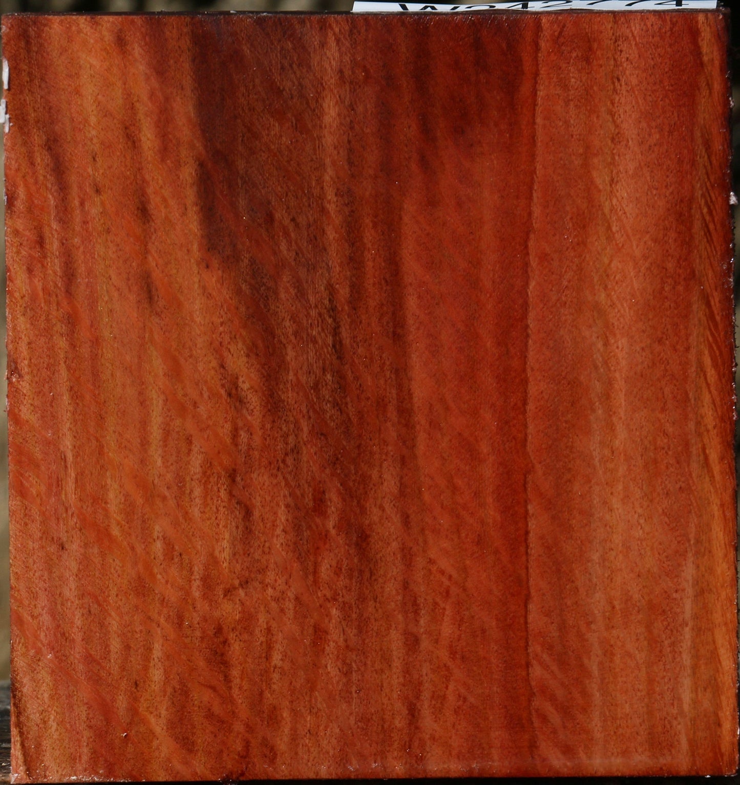 Figured Beefwood Bowl Blank