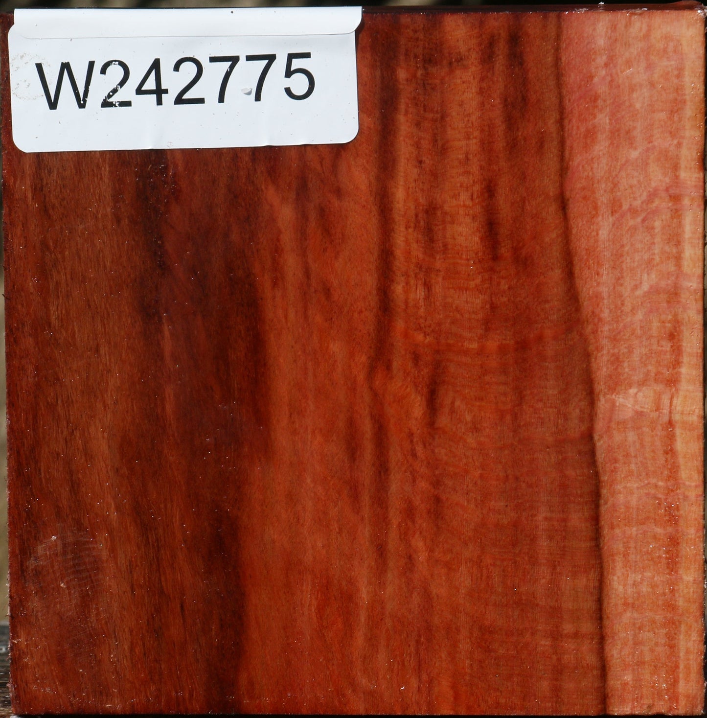 Extra Fancy Beefwood Bowl Blank