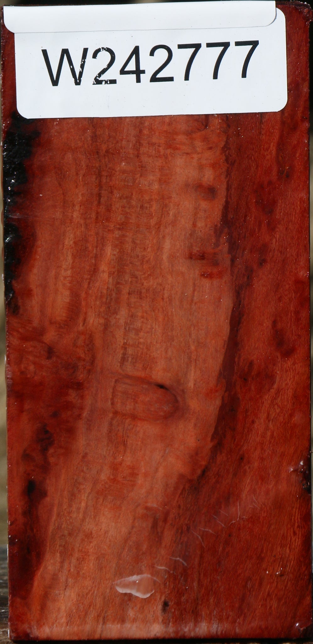 Figured Beefwood Turning Square