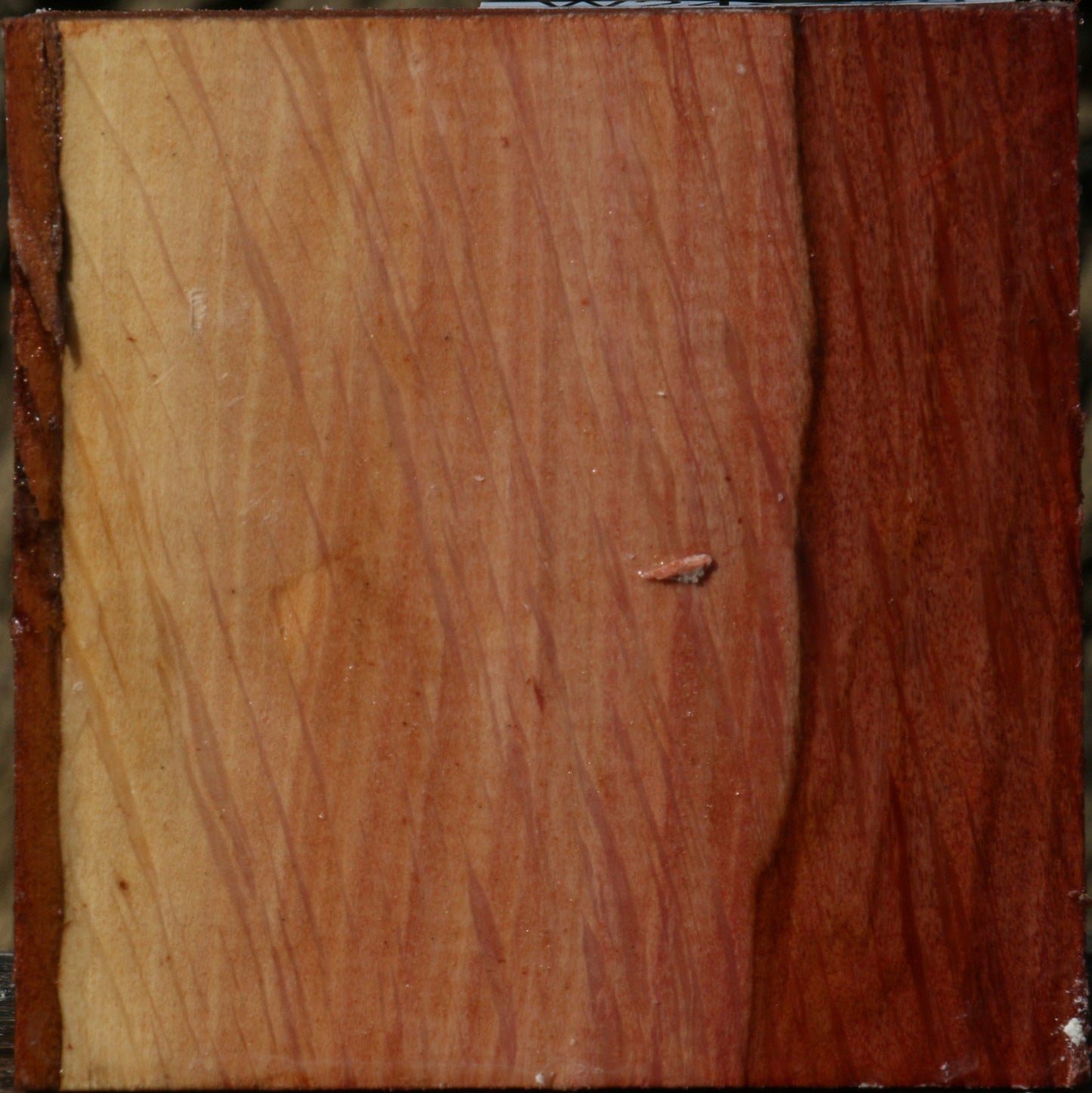 Extra Fancy Beefwood Bowl Blank