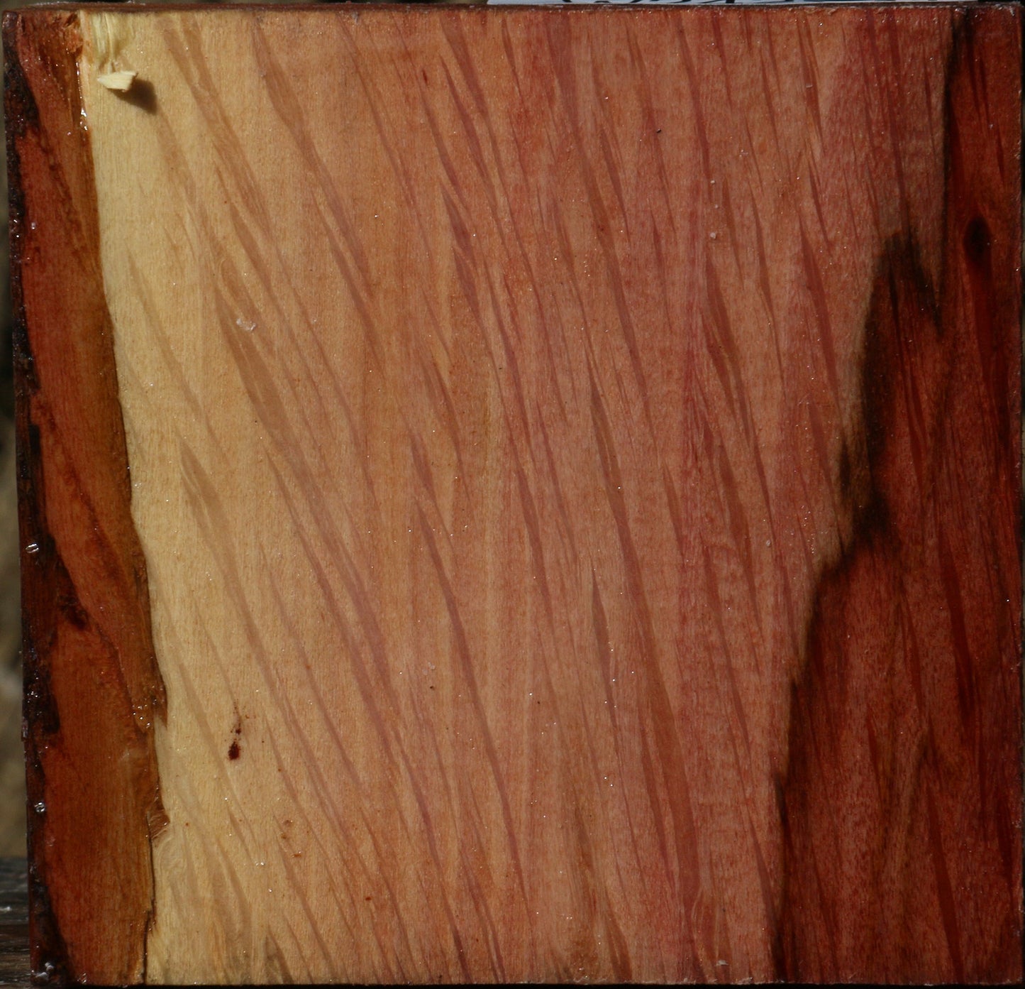 Figured Beefwood Bowl Blank