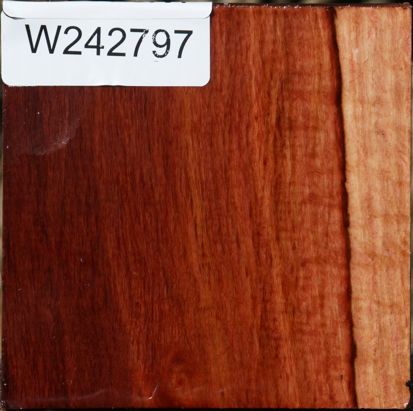 Figured Beefwood Bowl Blank