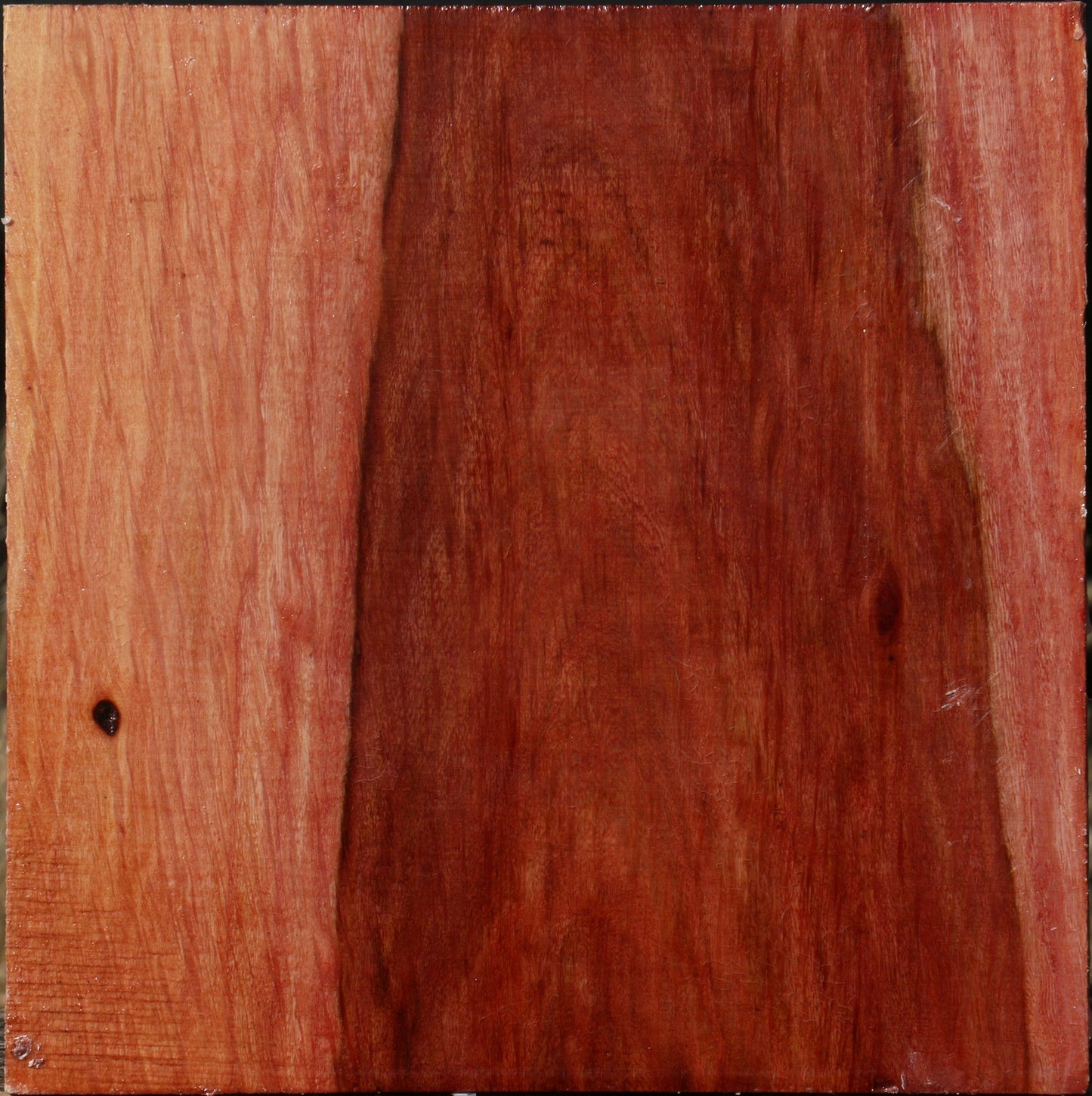 Extra Fancy Beefwood Bowl Blank