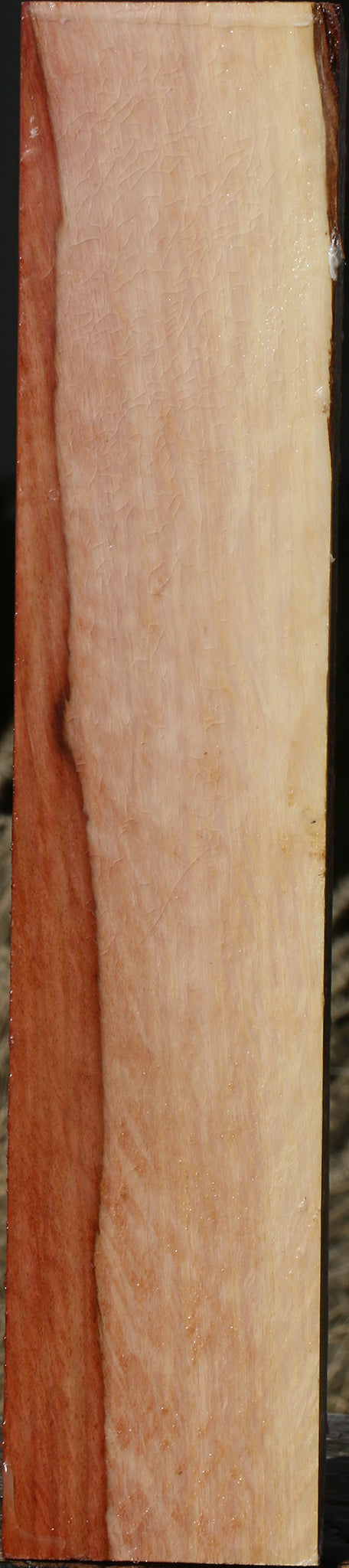 Figured Beefwood Peppermill