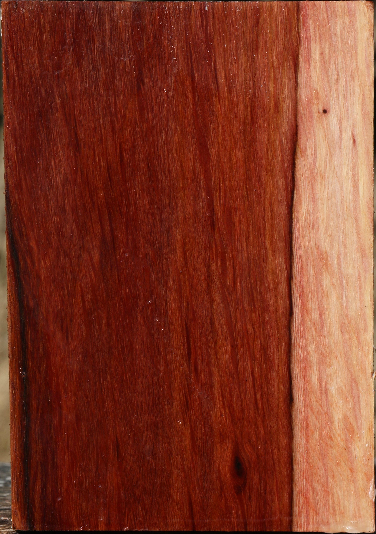 Figured Beefwood Turning Square