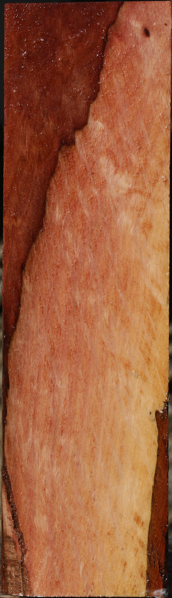 Figured Beefwood Peppermill