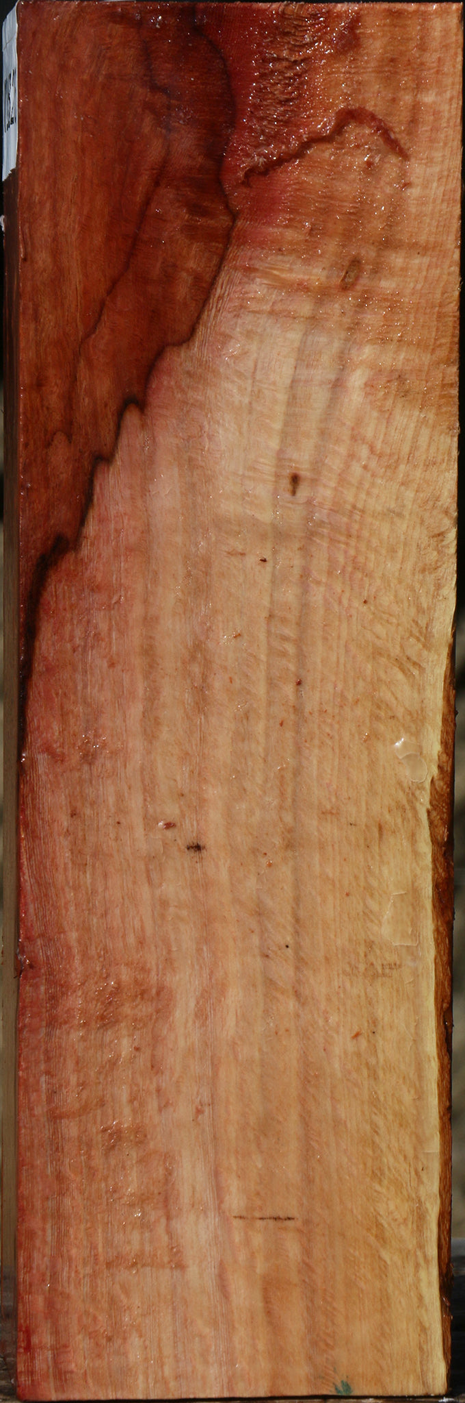 Figured Beefwood Turning Square
