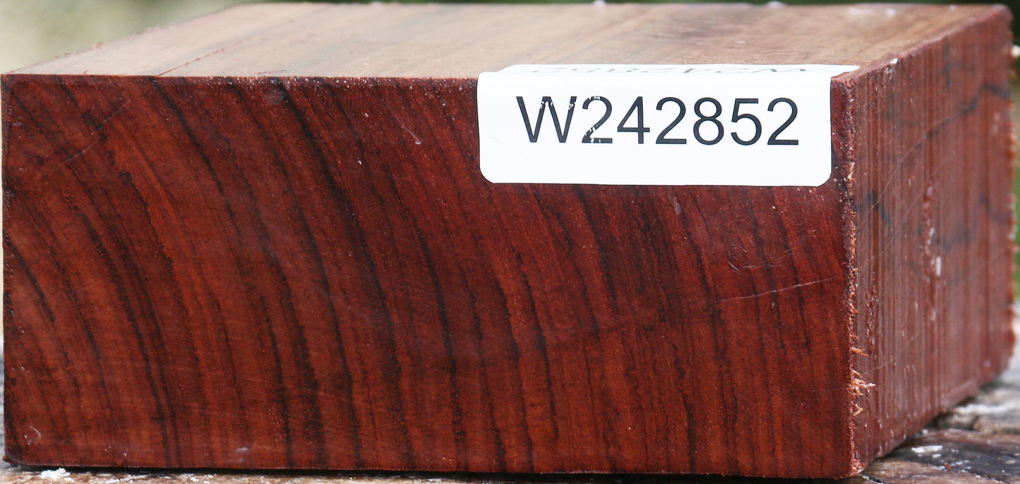Bubinga Bowl Blank