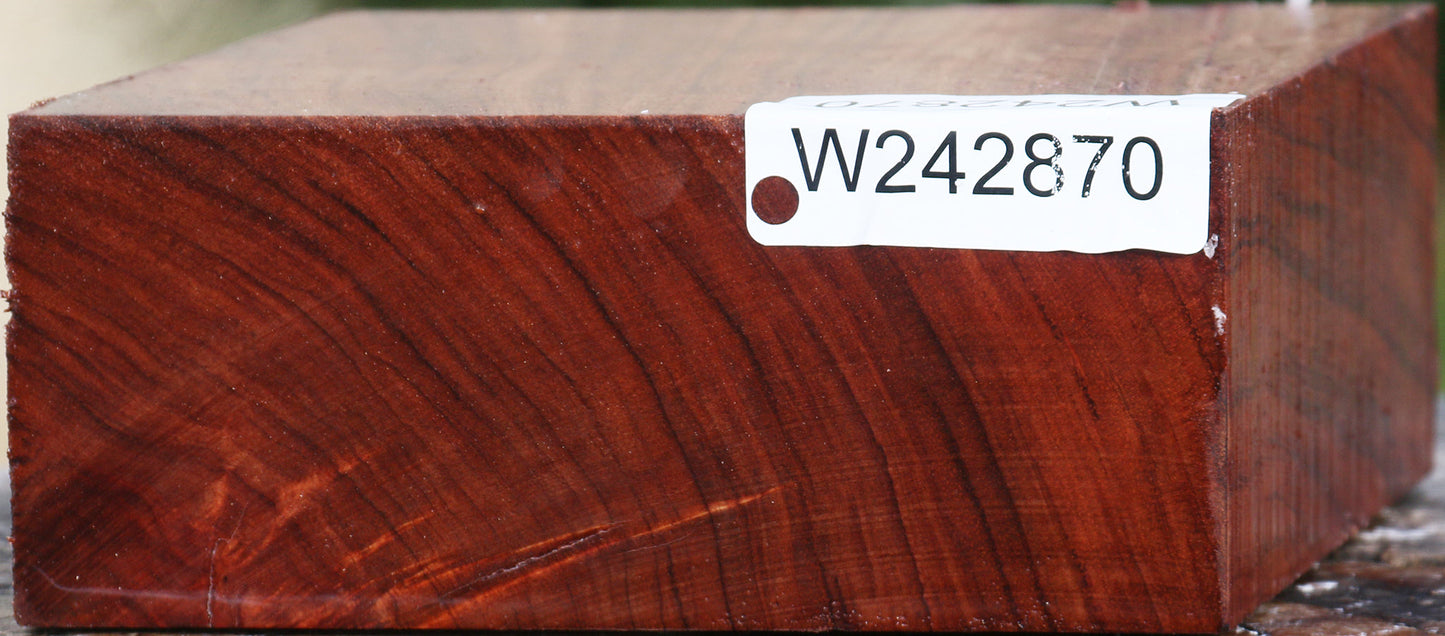 Bubinga Bowl Blank