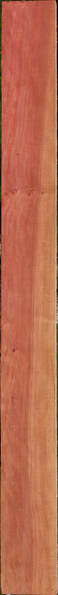 Figured Pink Ivory Micro Lumber