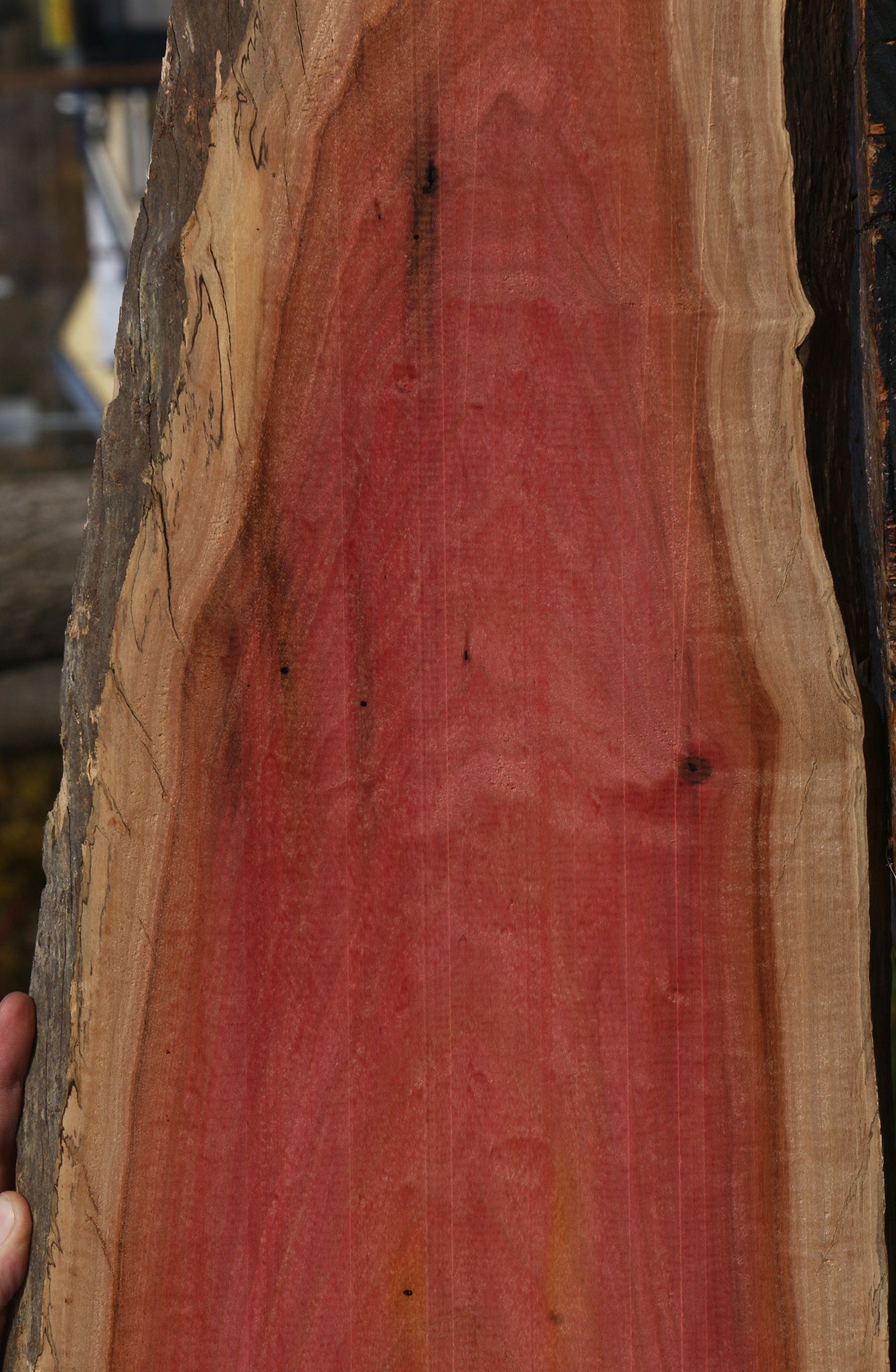 Figured Pink Ivory Live Edge Lumber