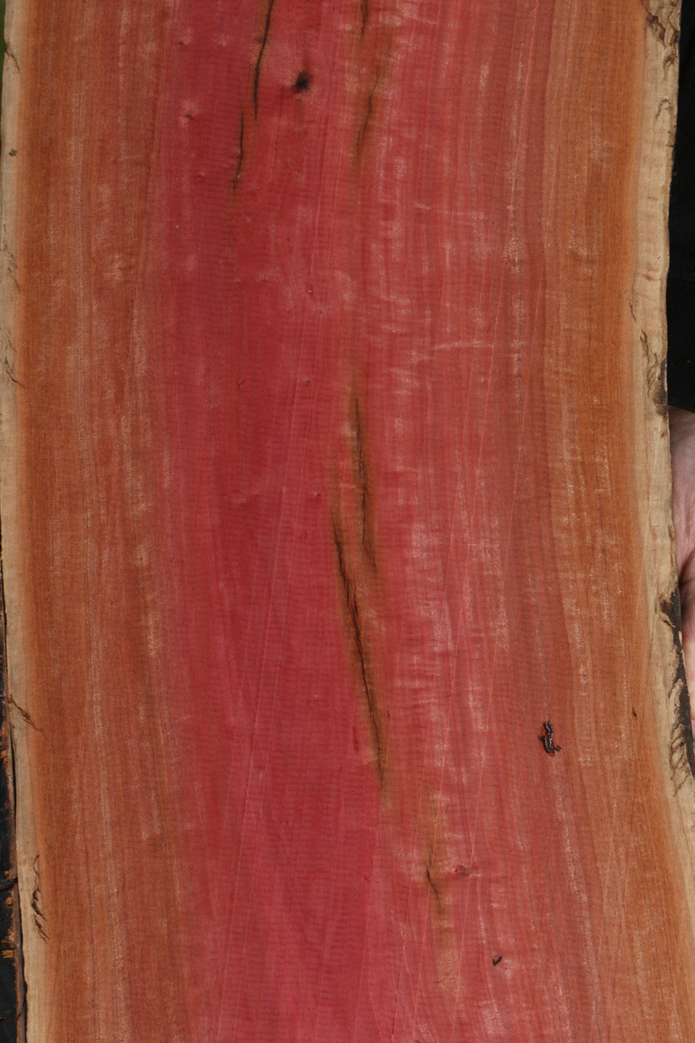 Figured Rustic Pink Ivory Live Edge Lumber