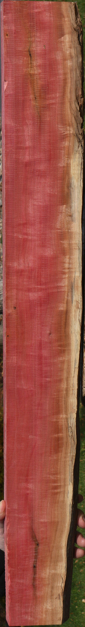 Extra Fancy Pink Ivory Live Edge Lumber