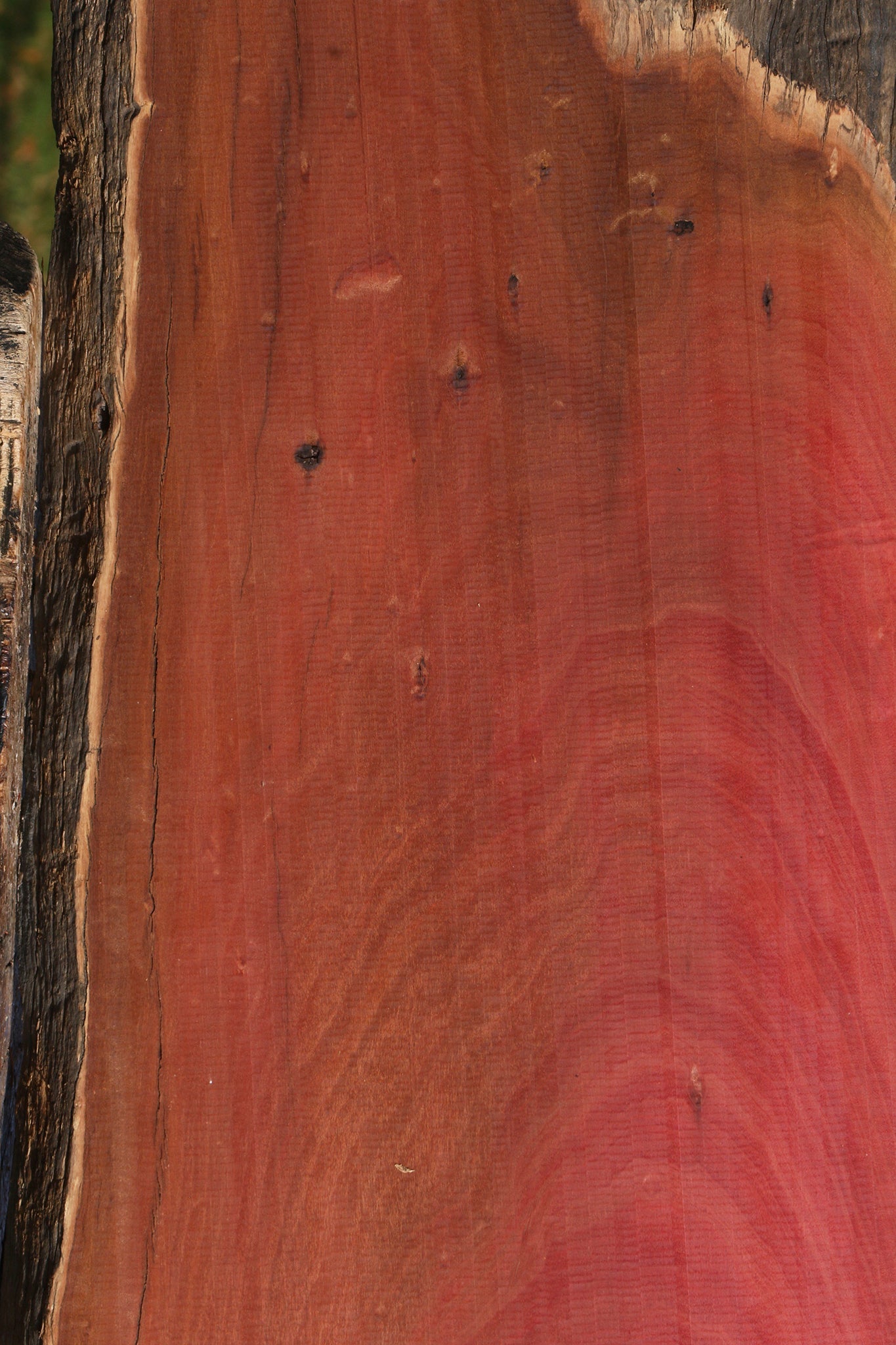 Figured Rustic Pink Ivory Live Edge Lumber