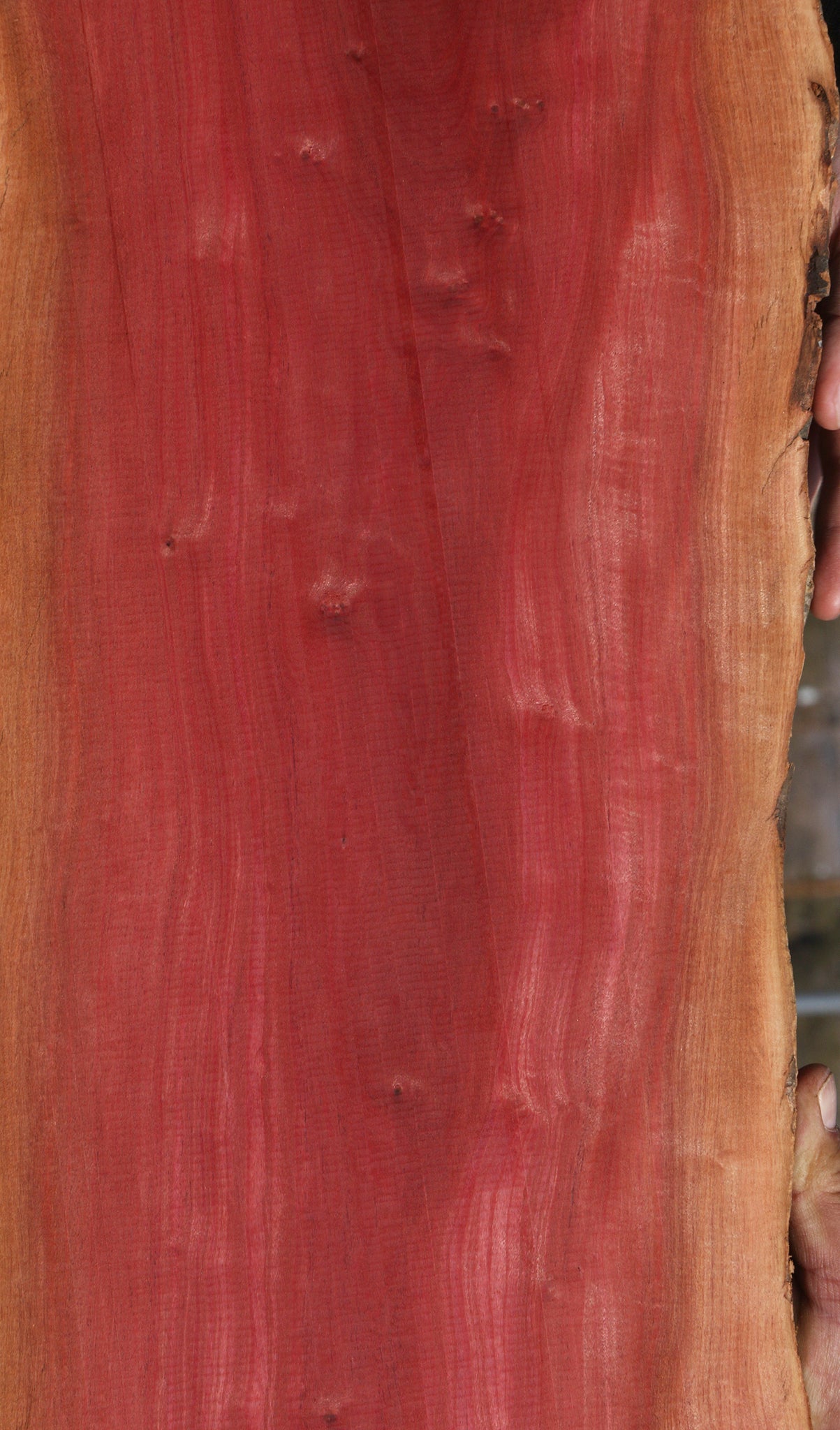 Figured Pink Ivory Live Edge Lumber