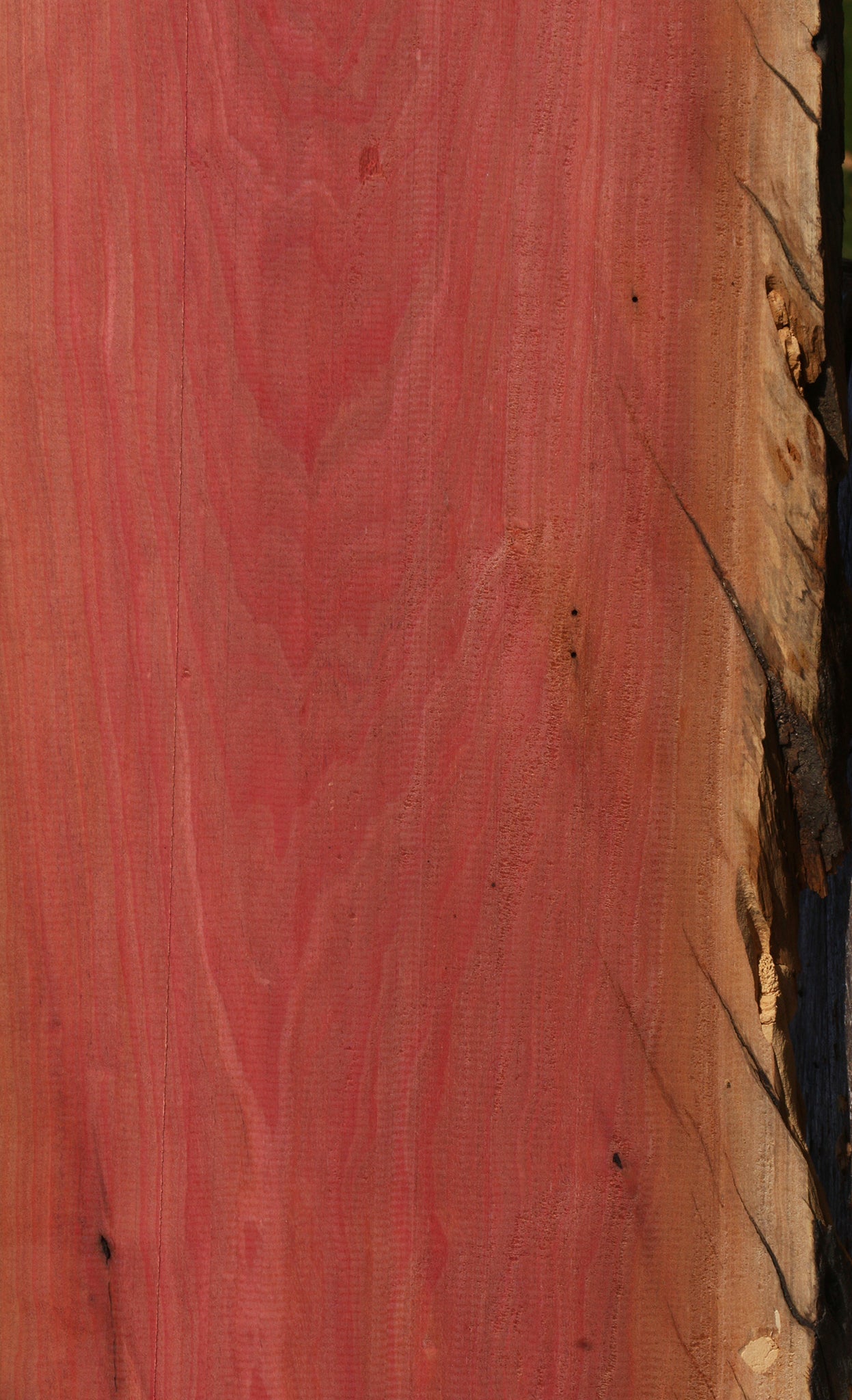 Pink Ivory Live Edge Lumber