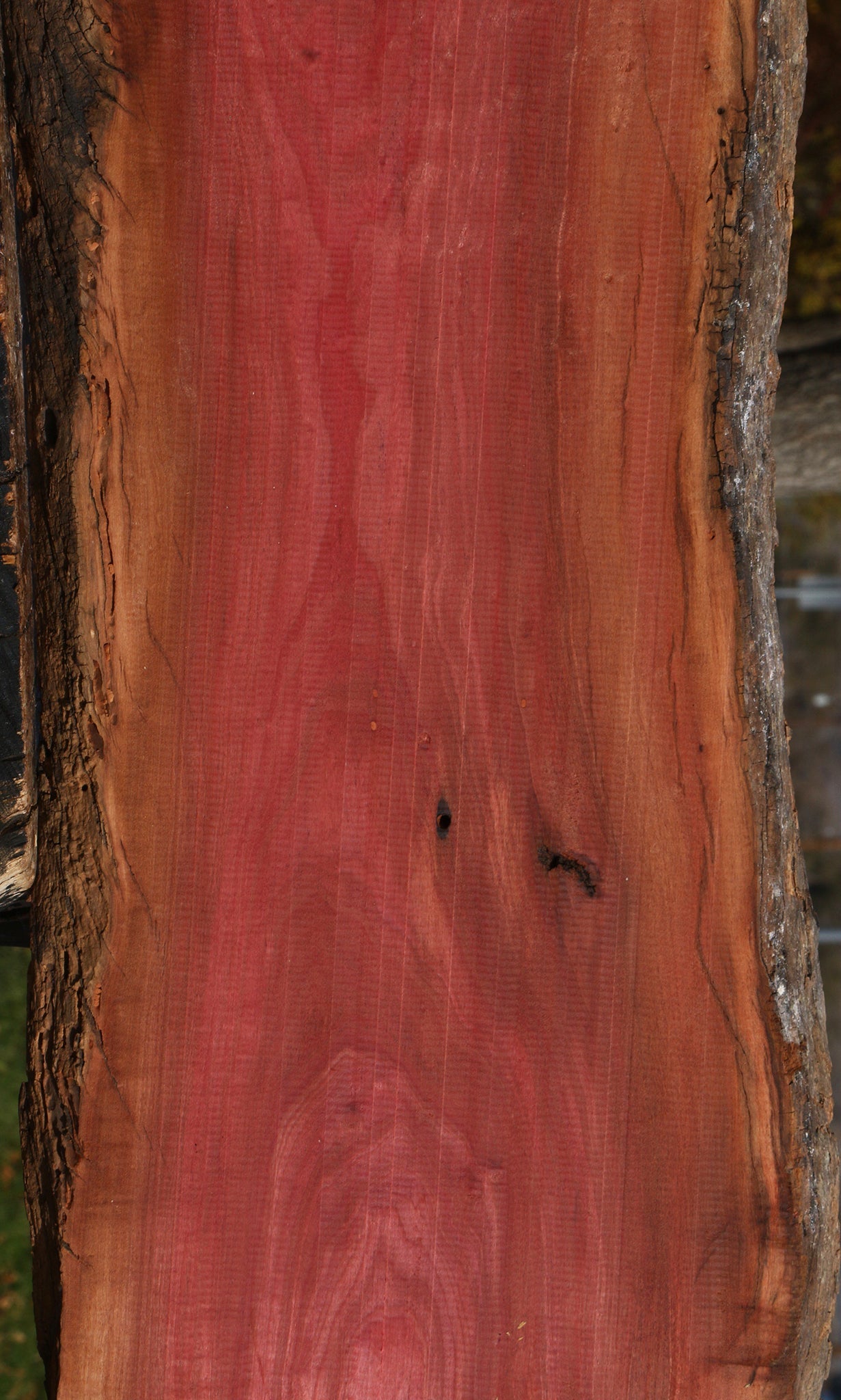 Figured Pink Ivory Live Edge Lumber