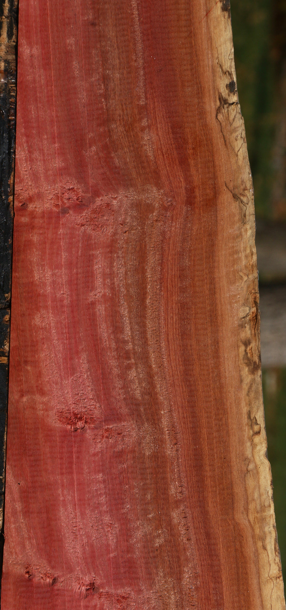 Figured Pink Ivory Live Edge Lumber