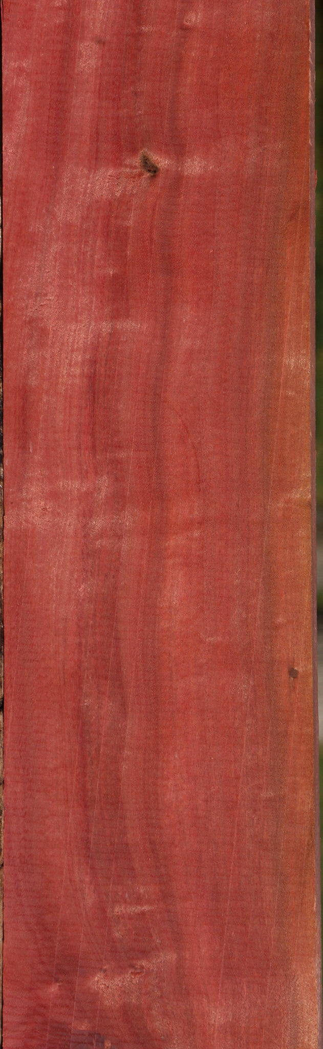 Extra Fancy Pink Ivory Micro Lumber