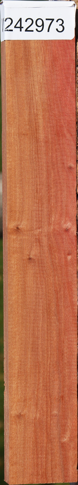 Figured Pink Ivory Micro Lumber