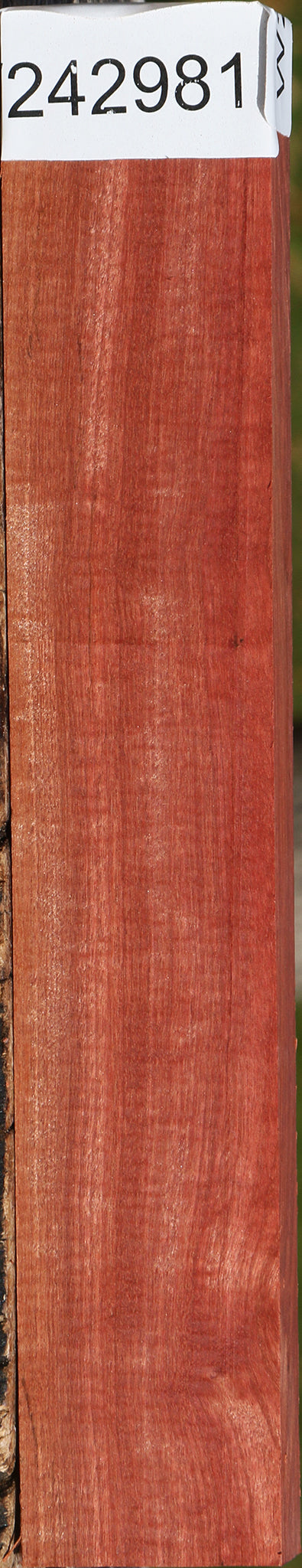 Extra Fancy Pink Ivory Lumber